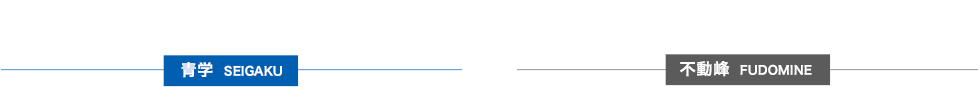 出演キャスト