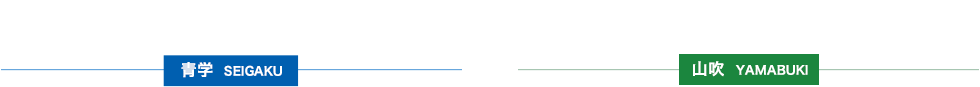 出演キャスト 青学 山吹