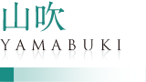 山吹／YAMABUKI